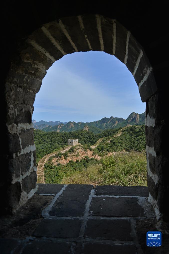 彩霸王综合资料论坛